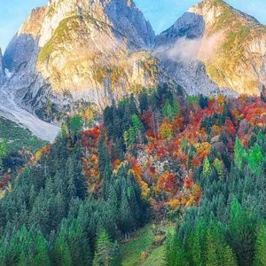 Meet your Posher, Harsharn